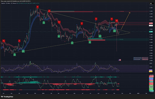 狗狗币 RSI 突破显示主要目标，为何仍有望突破 1 美元？