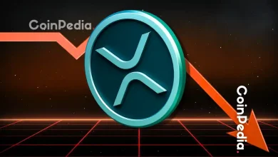 Ripple 新闻:XRP 价格或于 2025 年年底突破 100 美元大关