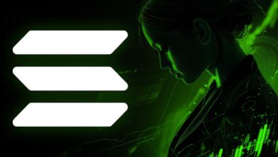 Solana 和 Opter 增长，狗狗币清算仍在持续进行